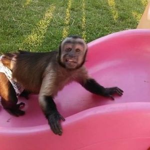 Meet your Posher, Tracy